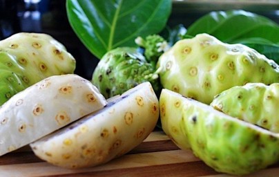Noni (Morinda citrifolia) Noni (Morinda citrifolia)